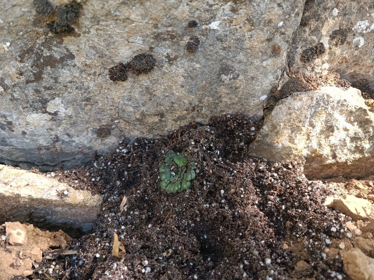 photo1683305506 (1).jpeg